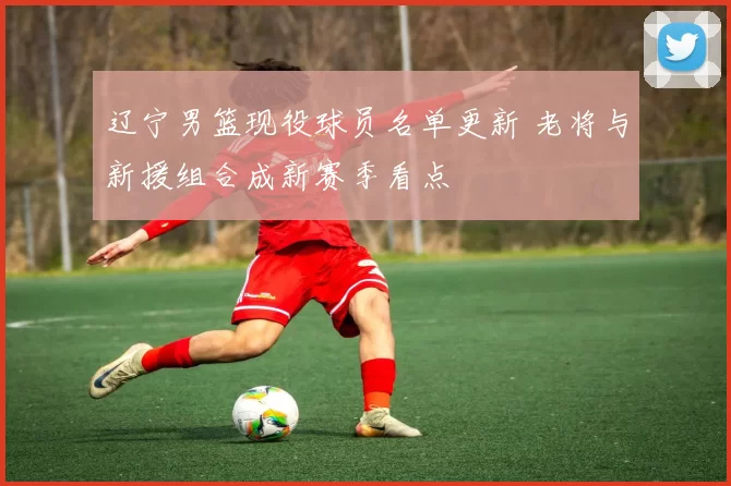 辽宁男篮现役球员名单更新 老将与新援组合成新赛季看点