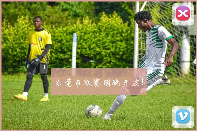 东莞市联赛明晚开波！