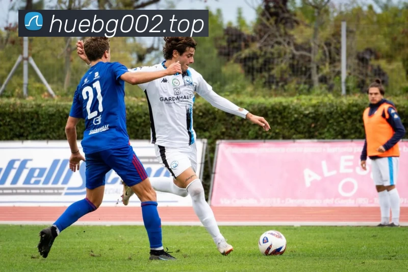 开云 - KAIYUNAPP下载发展历程